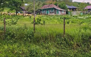 Casă de vânzare în satul Roșu, comuna Răducăneni, județul Iași – teren 5.000 mp cu livadă și vie - Poză 4