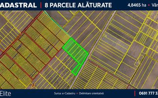 4,85 HA CU DESCHIDERE DE 300 M LA TRASEU | CRIULENI – SLOBOZIA-DUȘCA - Poză 10