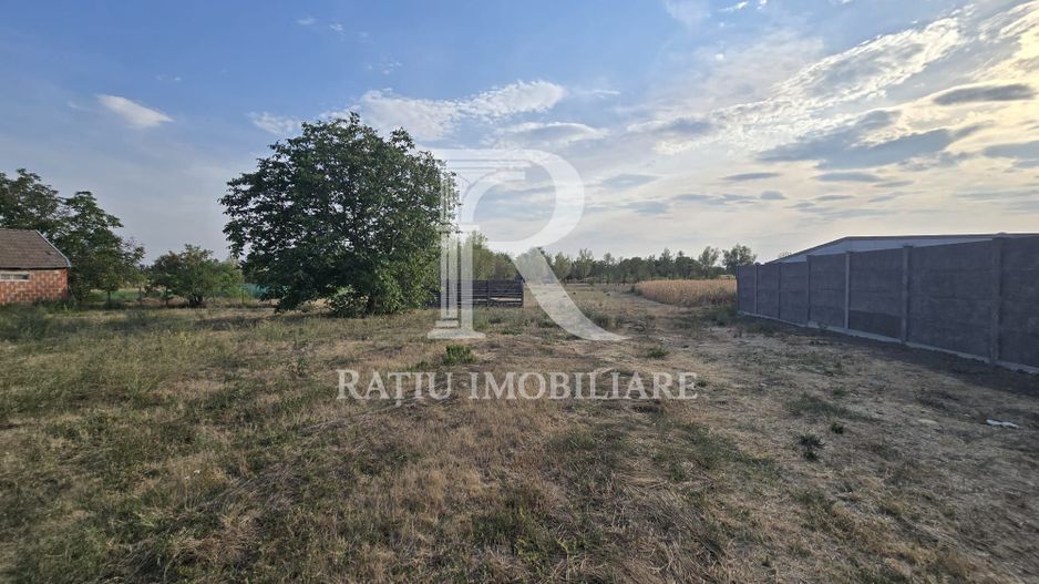 Teren intravilan 6.514mp | 39m front stradal | Ciocaia | Săcuieni - Poză 2
