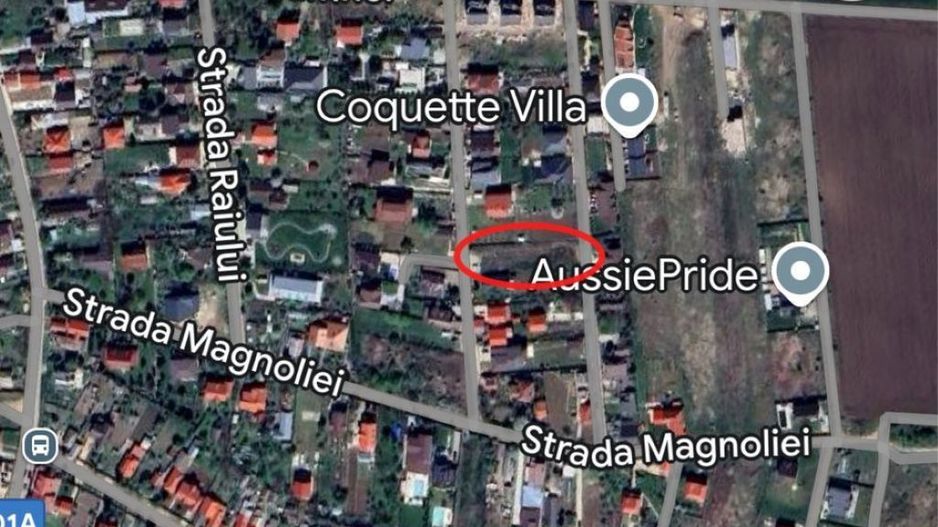 Teren intravilan pentru vanzare| Corbeanca - Ostratu - Poză 2