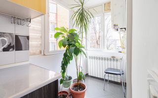 Apartament 3 camere Regie - Poză 8