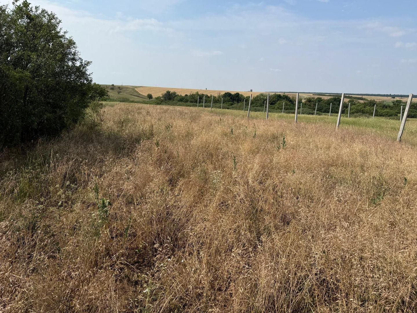 Teren intravilan Miersig, vedere la lac. 12,5 E/mp neg. Comision 0 - Poză 8