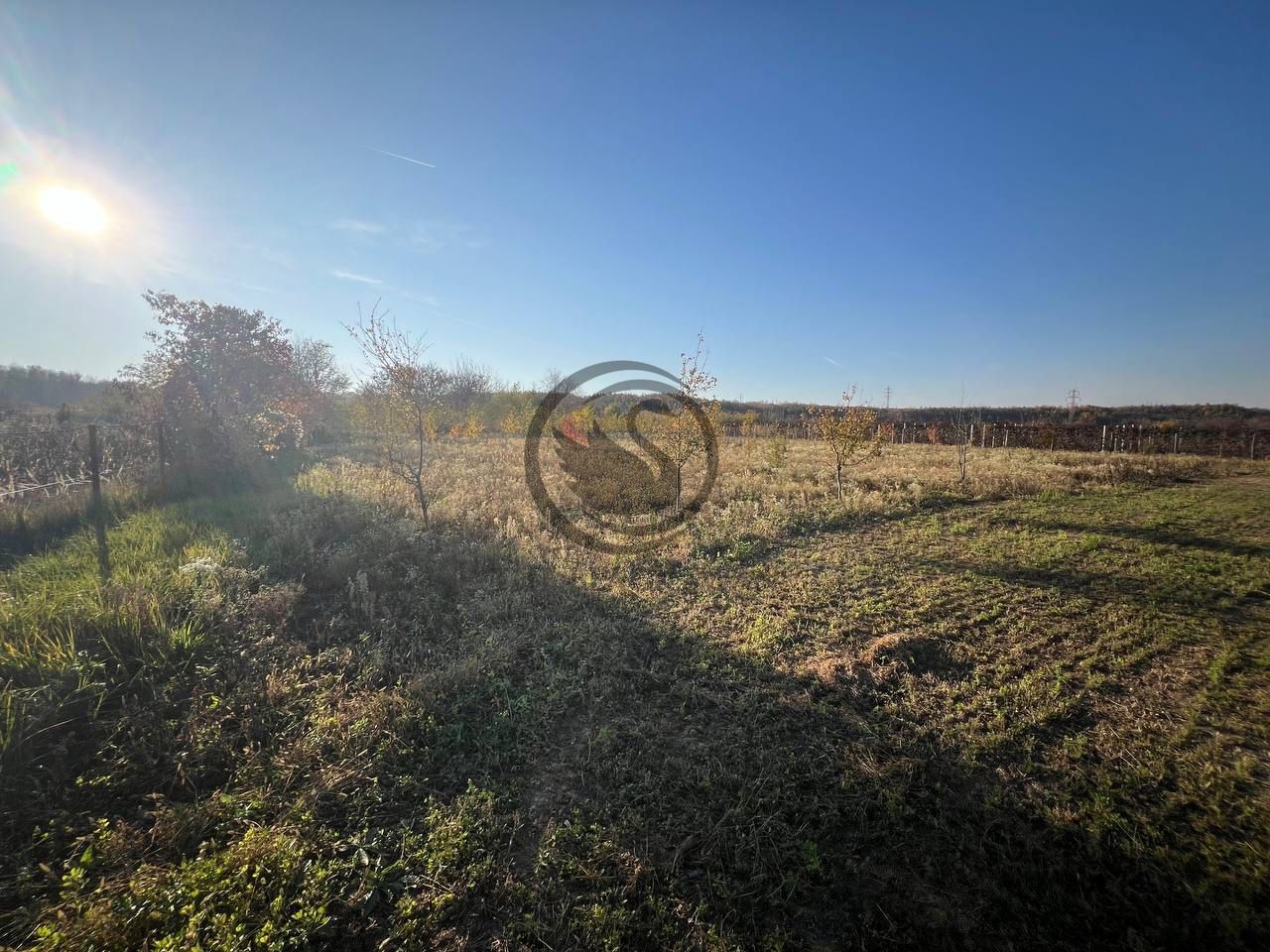 Teren intravilan de vanzare | 12.650 mp | Ghirdoveni | Comision 0% - Poză 7