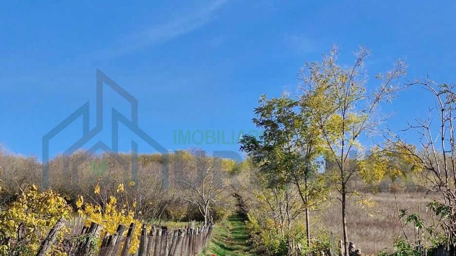 Teren intravilan 1308 mp Rediu | 9 min (5.8 km) Copou 9 min (5.8 km) Pacurari - Poză 2