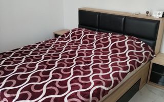 APARTAMENT 2 CAMERE DOAMNA STANCA - Poză 5