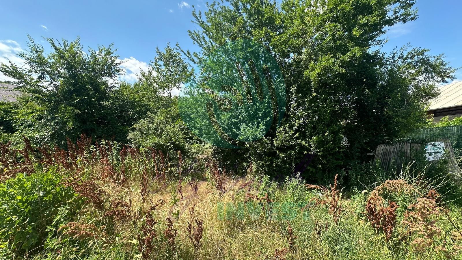 Teren 16534 mp pentru dezvoltare rezidențială, Siliștea Snagovului - Poză 7