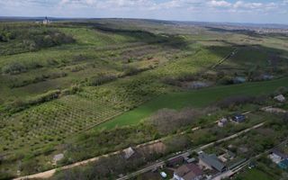 Vânzare, teren, 5 ari, str. La rascruce Dumbrava - Poză 5