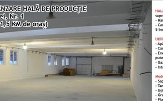 Hala productie, zona Industriala, Vaslui - Poză 4