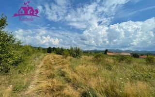 Teren de vanzare in Meziad. - Poză 7