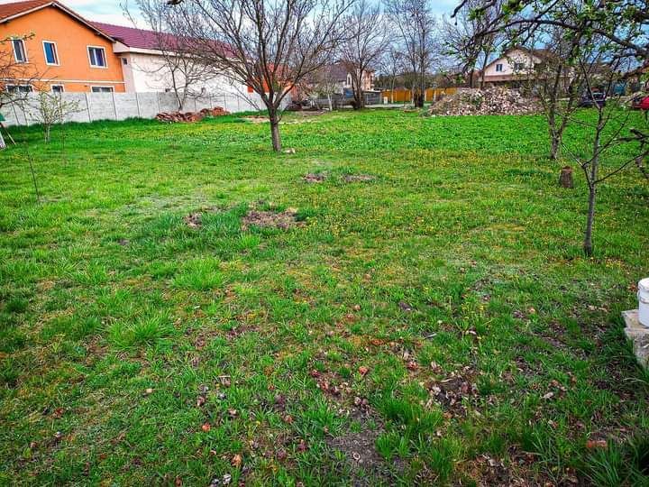 COMISION 0 | 2 Terenuri intravilane | 2.212 mp | FS 43 m | Mosnita Veche - Poză 3