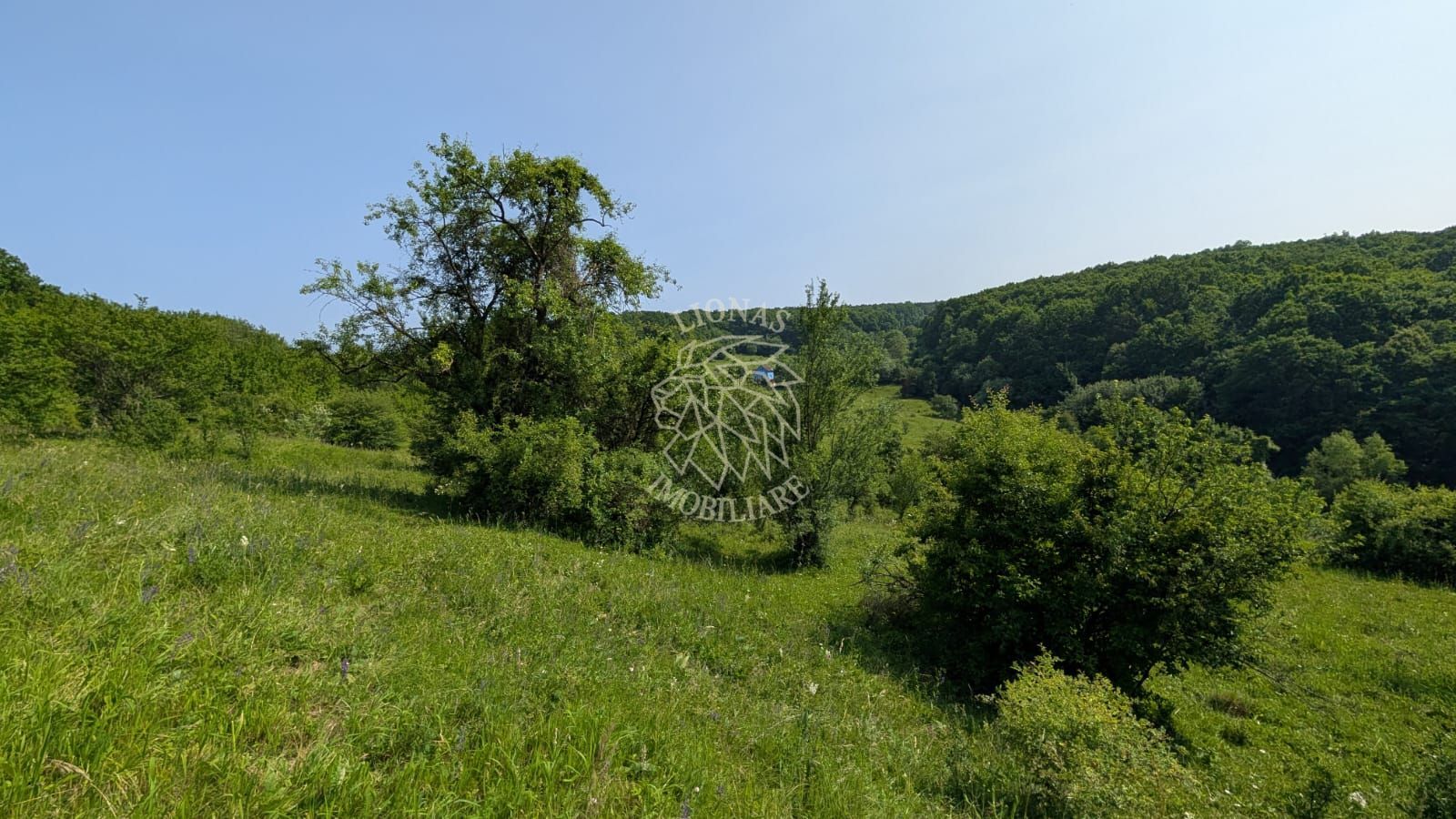 Teren 650 mp extravilan- 1,4 km de centru- ideal cabana- Oportunitate - Poză 11