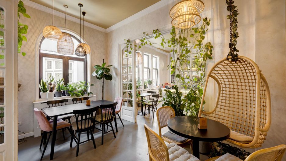 Vindem Afacerea ! Mini Hotel + Cafenea/ Restaurant ! Parcul Carol ! - Poză 27