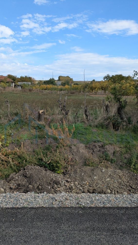 Teren intravilan 1100 mp, sat Avântu, comuna Romanești, județul Iași - Poză 5