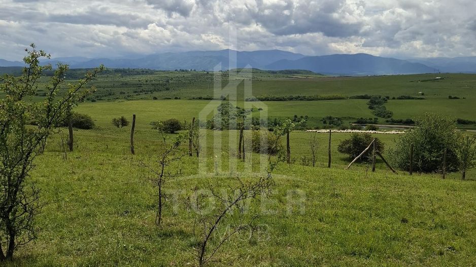 De vanzare, teren 11.500 mp – Dealul Dăii,  Vedere panoramică spre munți și lac - Poză 6