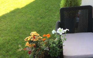 Apartament 2 camere cu grădină proprie | Adora Residence Pipera - Poză 6