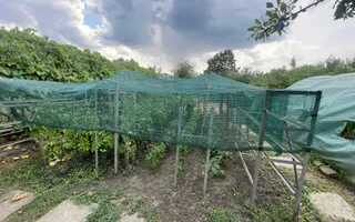 Casa | 9 camere | Garaj | Piscina | Teren 3.000 mp | Comision 0% - Poză 40