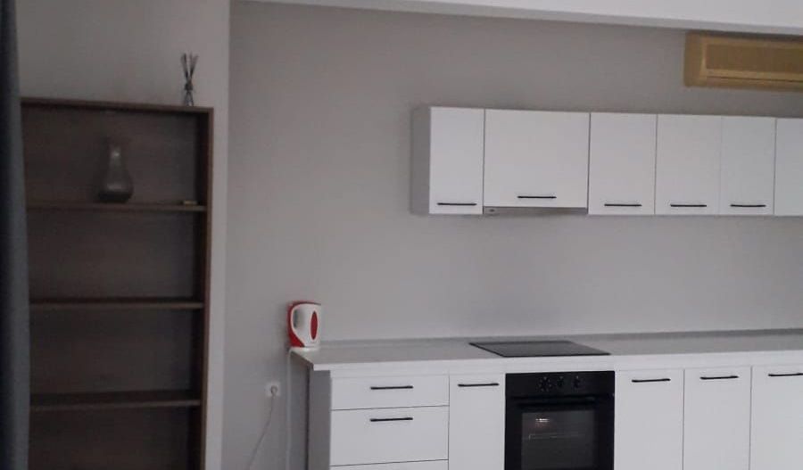 De inchiriat 2 apartamente cu 2 camere, etaj 1/2, strada Domneasca, 500 E - Poză 10