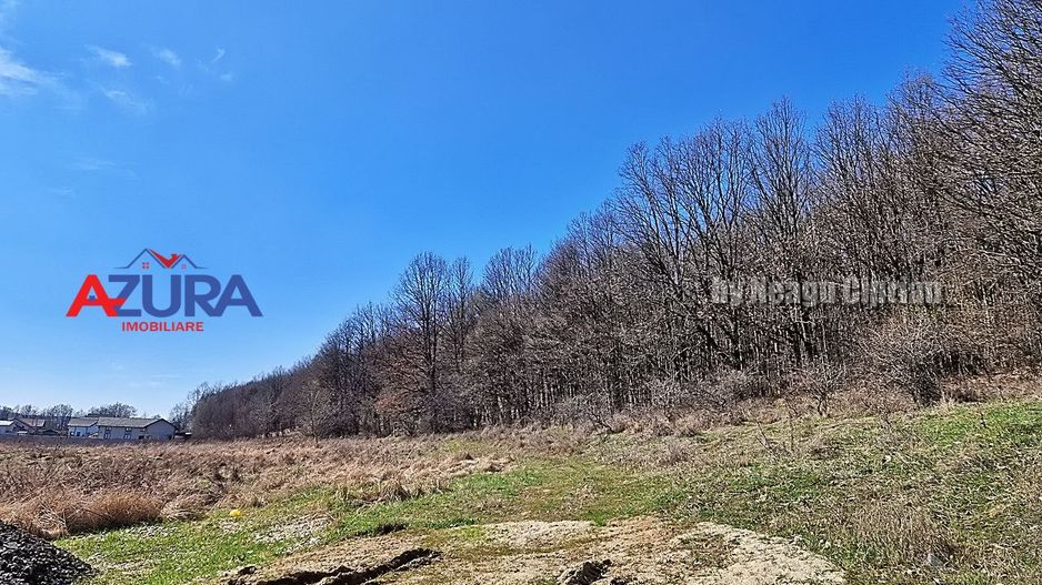 AZURA IMobiliare - Teren Bascov 2km de Giratoriu - Poză 7