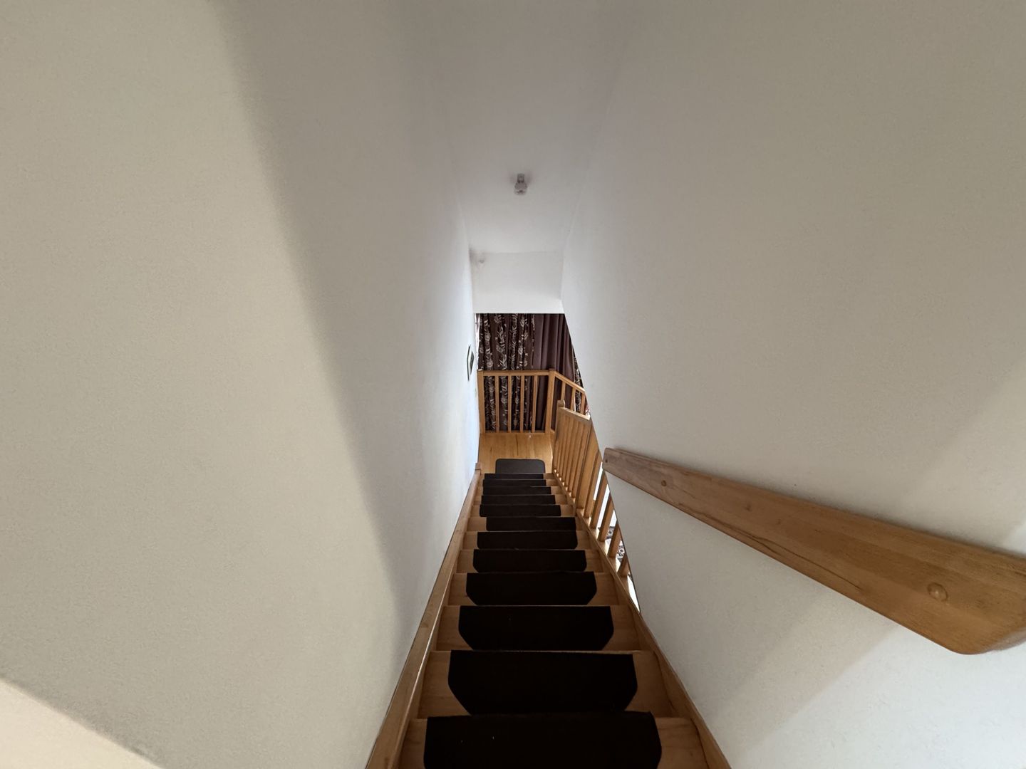 Individuala P+M Becicherecu Mic,4 Camere,Piscina exterioara,Teren Generos - Poză 18