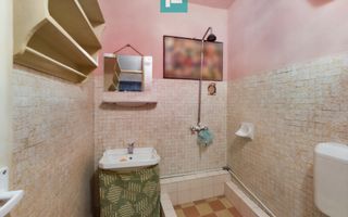 Apartament 4 camere Orizont Micălaca - Poză 10