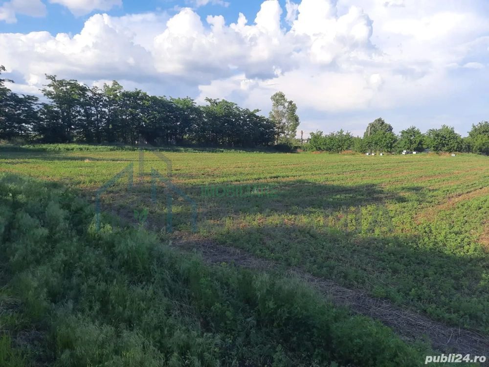 # intravilan în Țigănași la strada principală - Poză 5