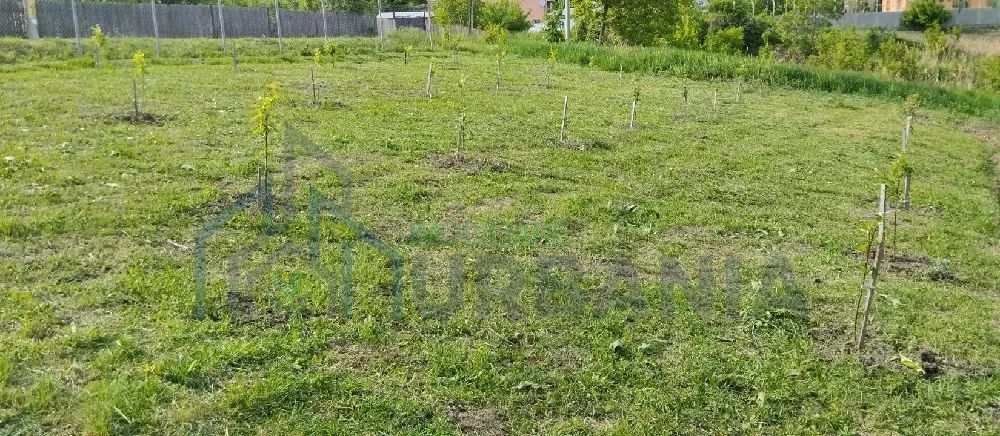 Teren intravilsn strunga - Poză 5