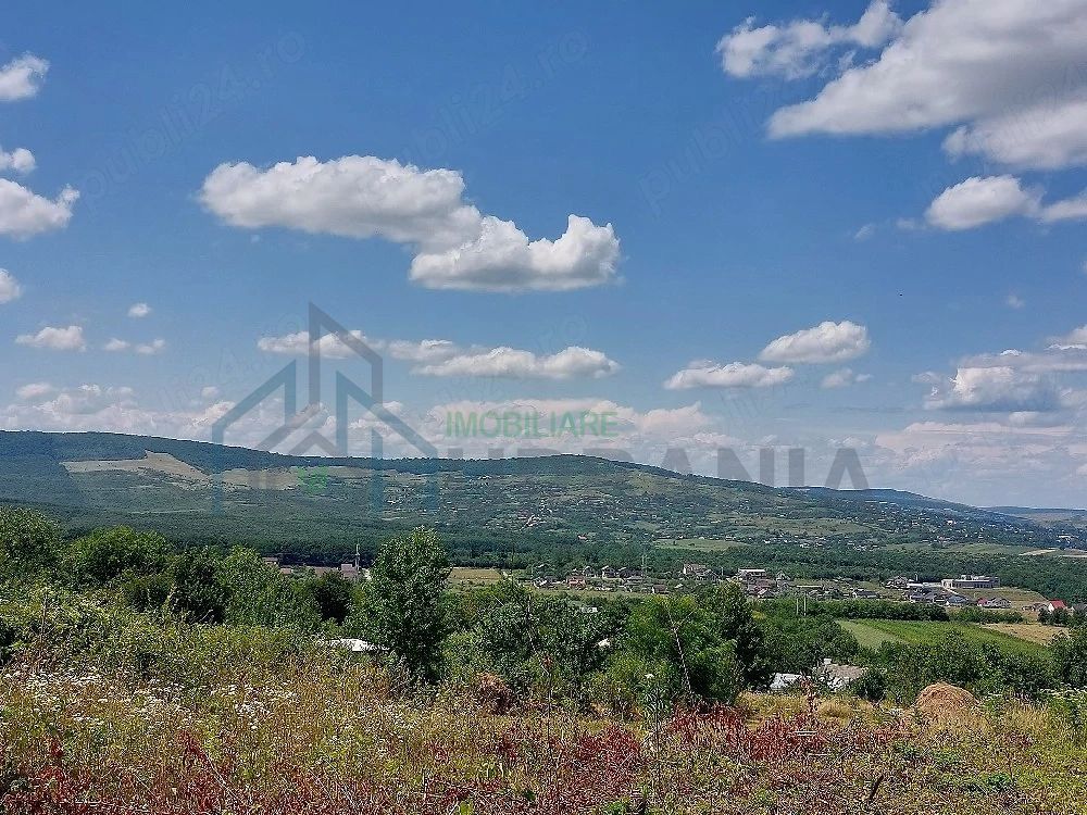 Teren intravilan, Curaturi, comuna Ciurea, 6310 mp - Poză 3