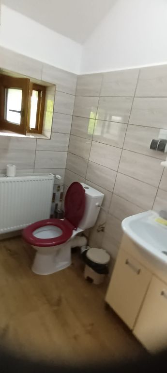 Vila de vanzare|7 camere| 774 mp teren| Snagov| Ocazie! - Poză 17