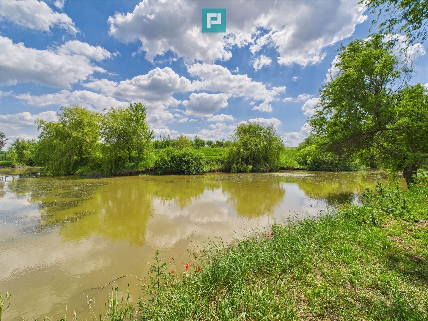 Teren cu baltă- oportunități multiple la Fibiș - Poză 21