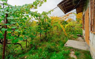 Lot pomicol de 6 ari în Ialoveni, cu construcție auxiliară. - Poză 15