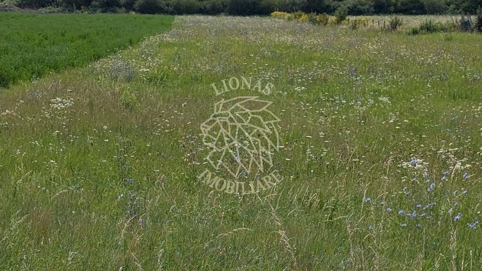 Teren intravilan 5200 mp cu utilitati-ideal constructie case-Zavoaie - Poză 1