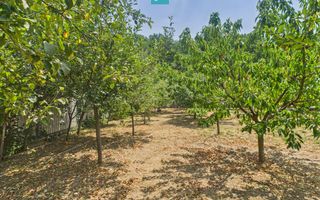 Teren edificabil 1106 mp – Dumbrăvița - Poză 7