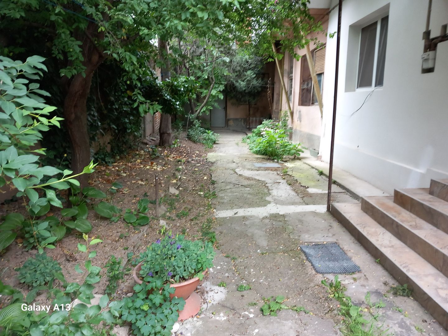 brasadas.com vinde casa 3 cam 135mp zona ULTRACENTRALA. - Poză 4