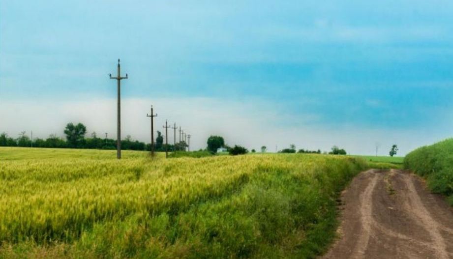 Teren intravilan in comuna Glina - Poză 3