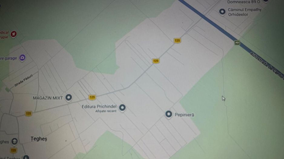 Teren intravilan 13.900 mp I Domnești-Țegheș I Deschidere 139 ml I  Utilități - Poză 2