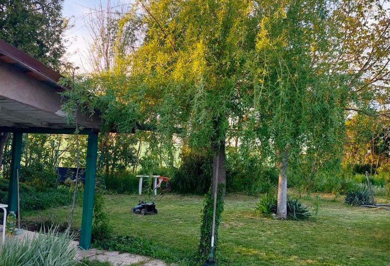 Casa 3 camere Parter Giurgiu Com Bucsani - Poză 3