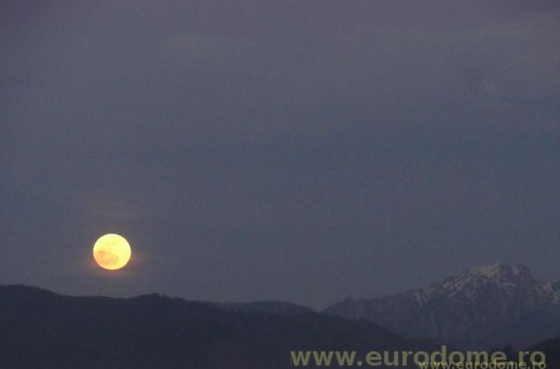 Exclusivitate - garsoniera spațioasă, pet friendly - Poză 1