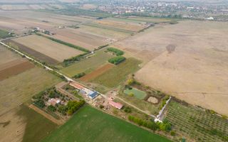 Teren intravilan cu iazuri și casă - Chișineu-Criș - Poză 10