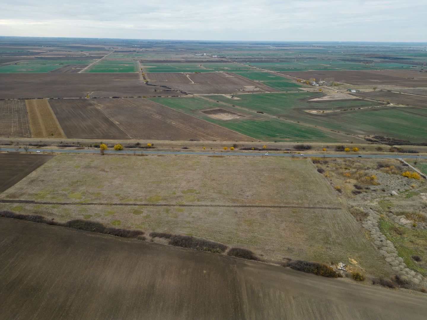 Teren 22.500 mp – Pecica, jud. Arad - Poză 8