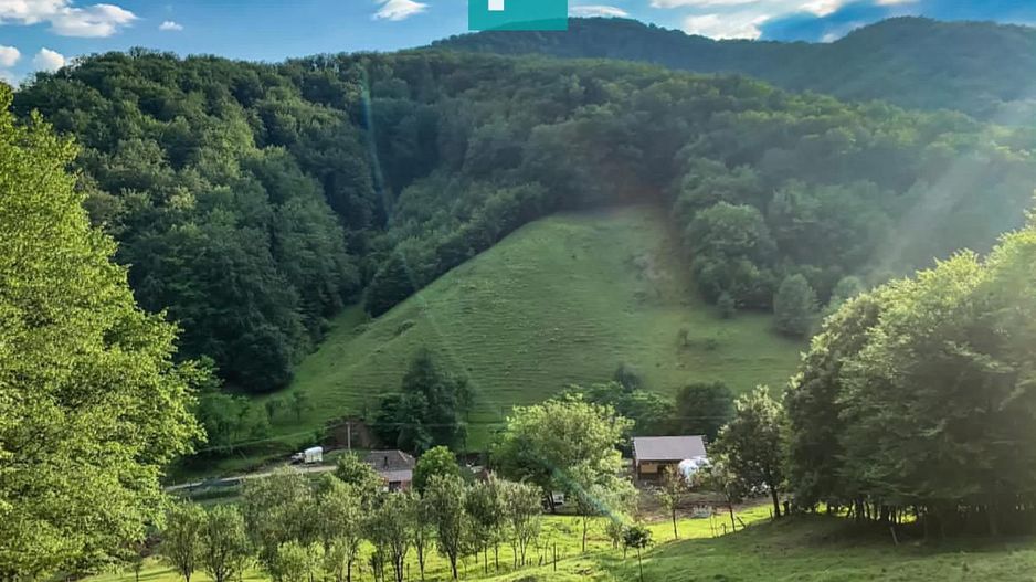 Teren  pentru investiții  în Luncoiu de Jos - Poză 2