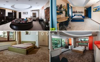 Vila grandioasa, Gradina Japoneza, SPA, Crama, Teren Tenis, Foisor, Iaz Pesti - Poză 3