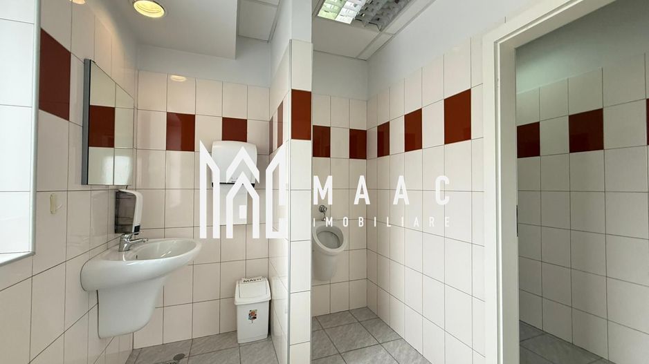 Spatiu de birouri I 186 mpu I Etajul 1 I Zona Sub arini - Poză 9