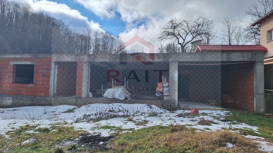 Casa de vanzare Cicanesti Arges - Poză 3