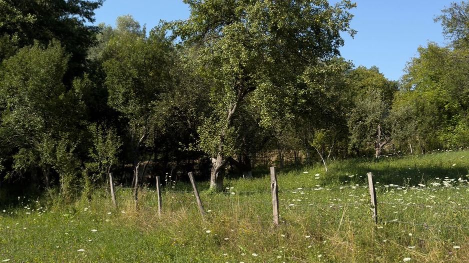 Teren Parau | Valea Danului, Curtea de Arges | Vidraru | - Poză 7