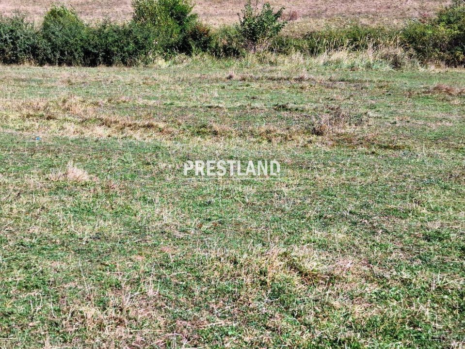 Teren extravilan situat în Cristian - Poză 2