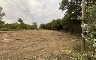 Teren Intravilan 2.551 mp I Gruiu I Comision 0 I Negociabil - Poză 3