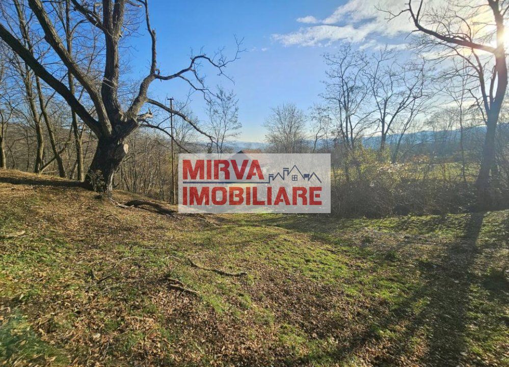 Vanzare casa plus anexa, teren 3843 mp, in Sat Pietriceaua - Poză 1