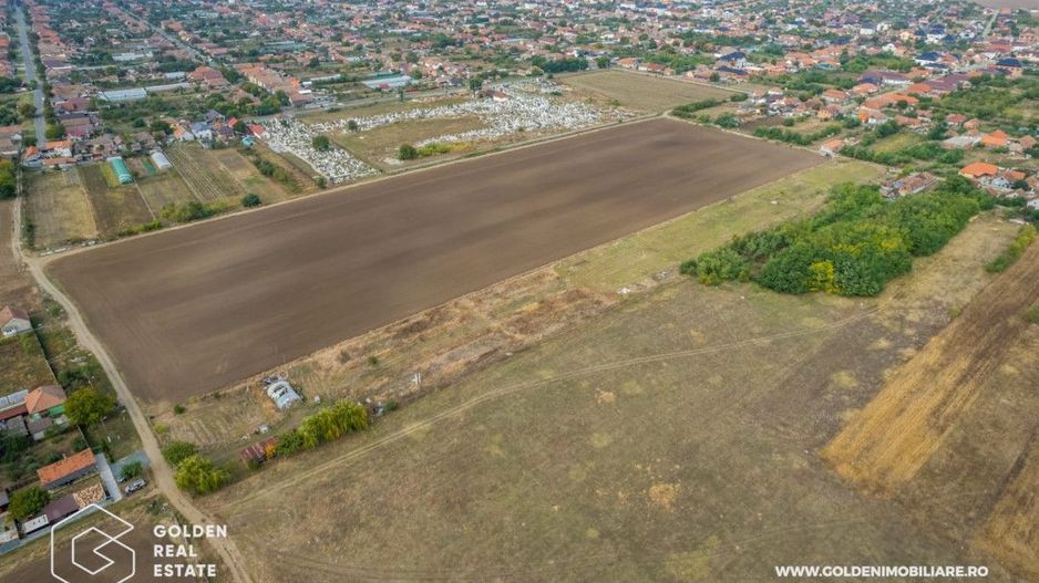 Teren intravilan, 14900 mp, Curtici - Poză 8