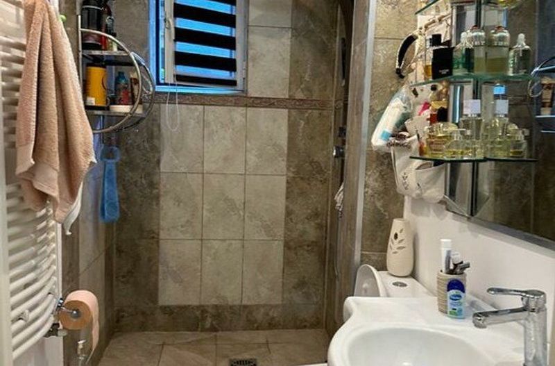 Vila D+P+1E, mobilata si utilata,  zona Spitalul militar - Poză 11