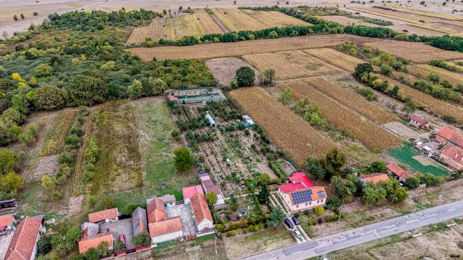 🏡 Mai mult decât o casă: libertatea de a trăi aproape de natură - Poză 3